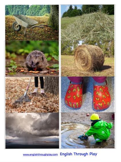 fall vocabualry p.3 preview